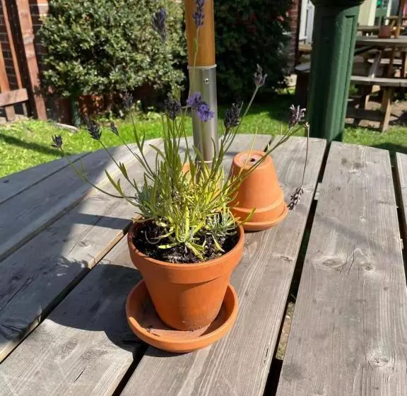 Retkeilymaja Spittal Brook