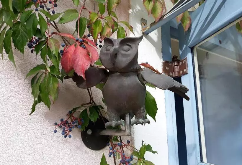 Aamiaismajoitus (B&B) Mas D Escattes