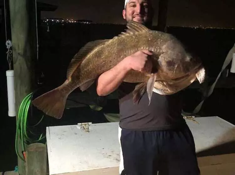 Majatalo Come Friday Cottages