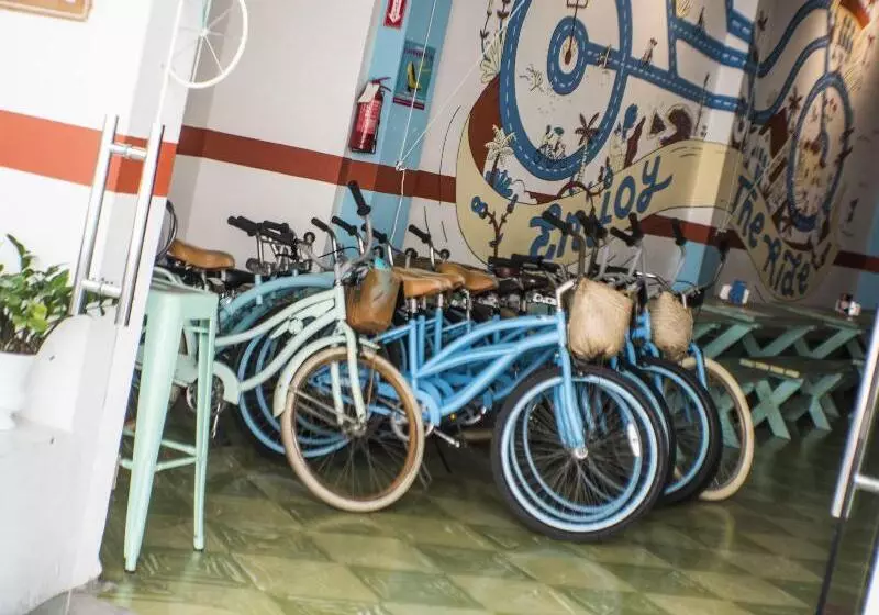 پانسیون Malecon Rooms Y