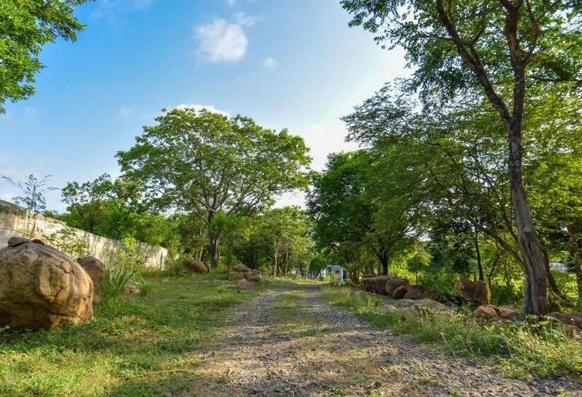 فندق Andarawewa Nature Resort