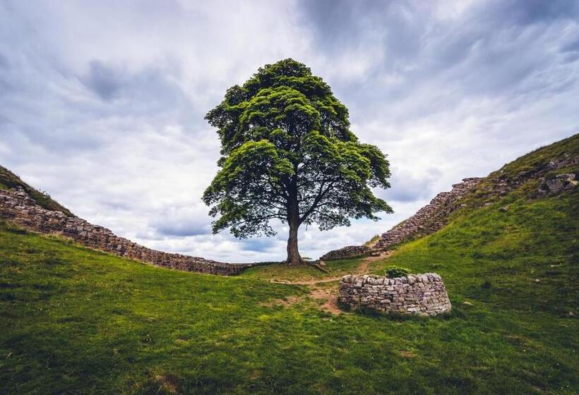 Bed and Breakfast The Old School House