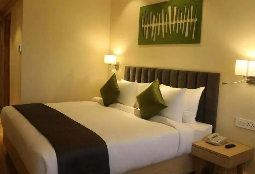 Hotel Regenta Central Harsha Vapi