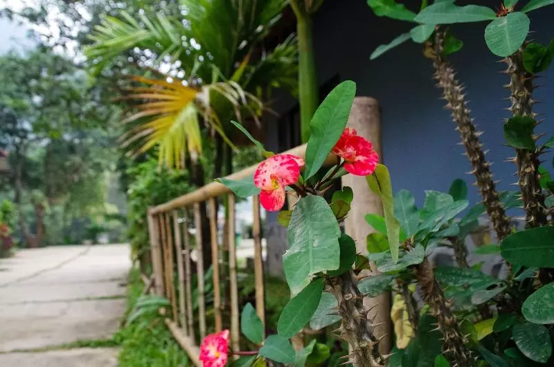 Mai Chau Sky Resort