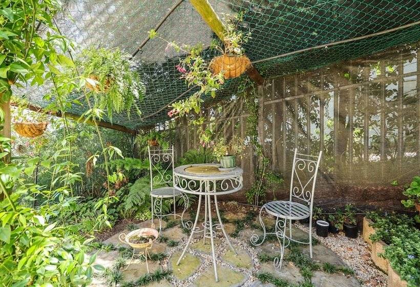 Bed & Breakfast Belle Vue Ridge Bnb