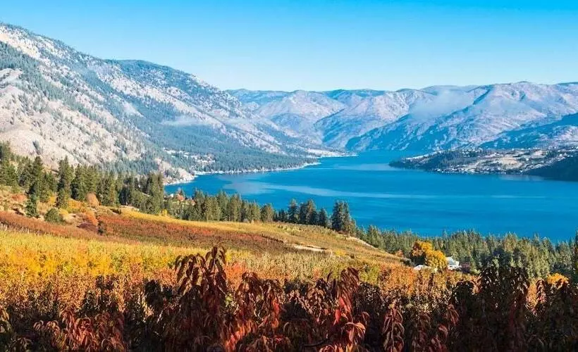 ホテル Hilton Garden Inn Wenatchee