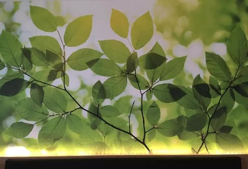 Inhouse  Wohnen Auf Zeit