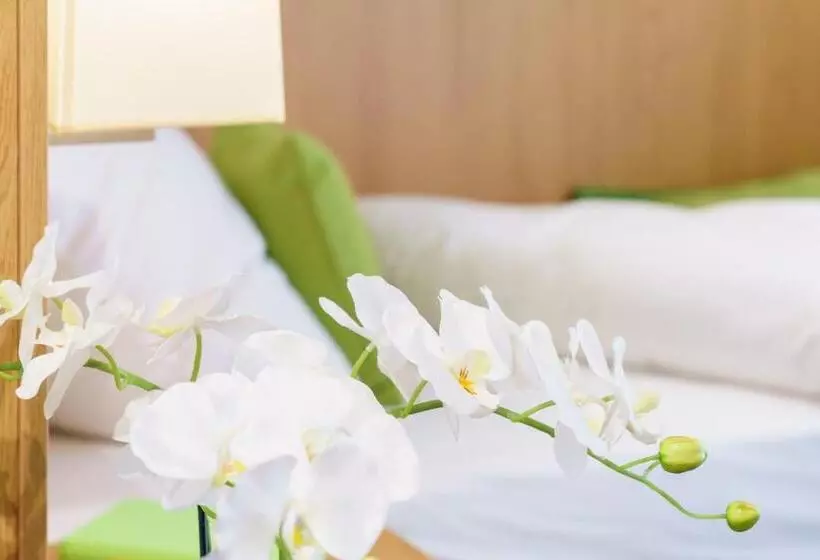 Inhouse  Wohnen Auf Zeit