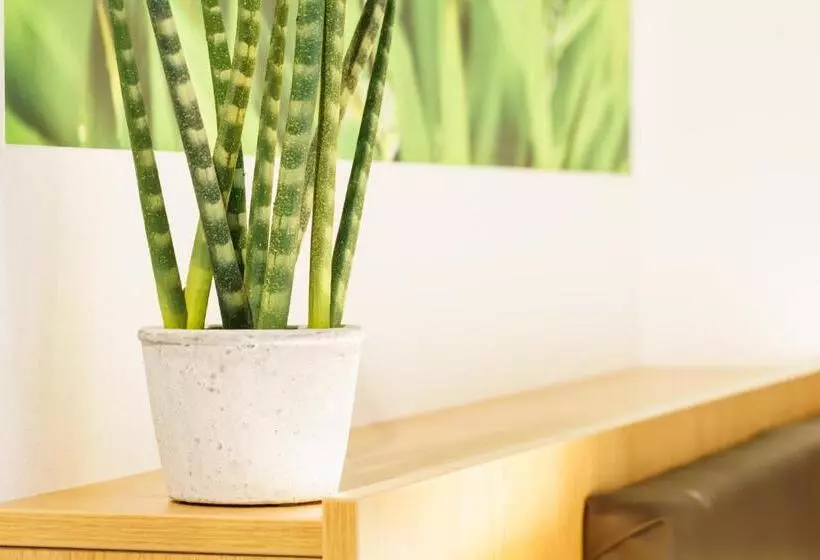 Inhouse  Wohnen Auf Zeit