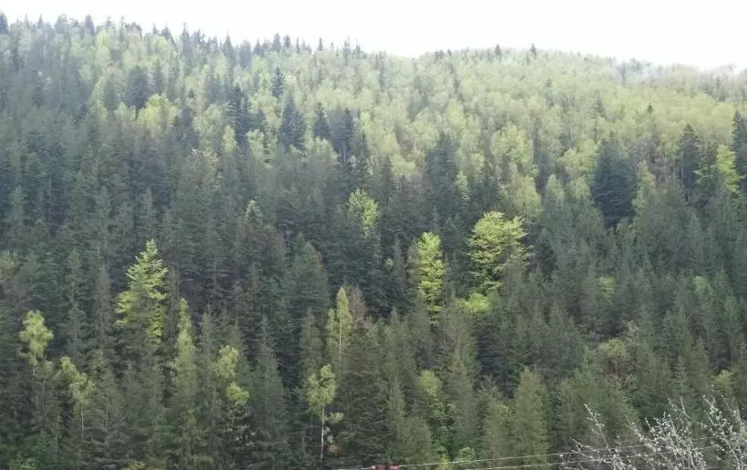 Majatalo Na Horbyku