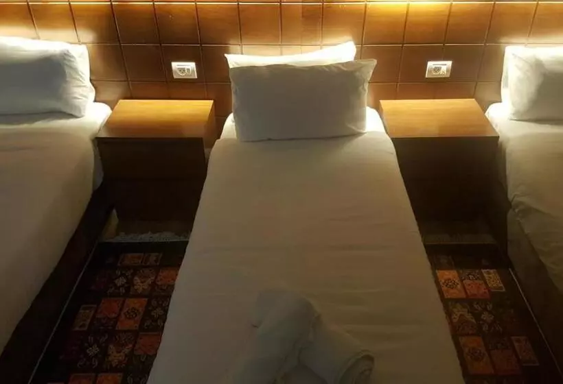 هتل Assaraya Palace