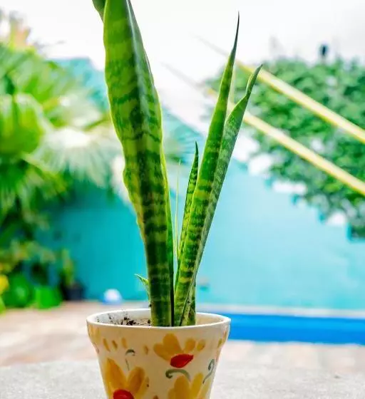 Casa De Arte Citá, Bed And Breakfasts