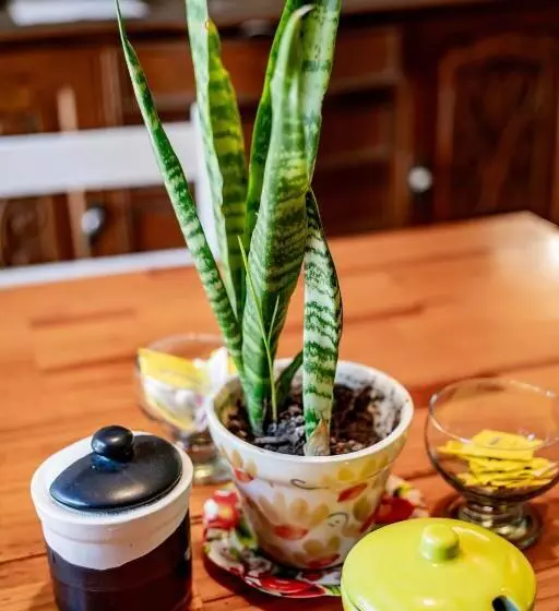 Casa De Arte Citá, Bed And Breakfasts