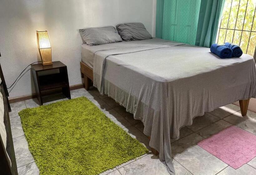 پانسیون Casa Turtle Bogue