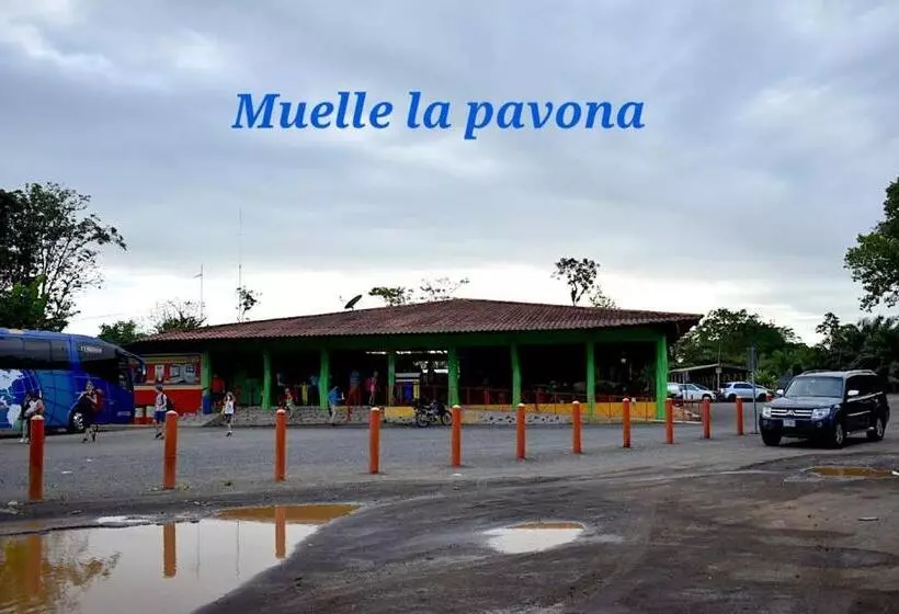 Majatalo Casa Turtle Bogue