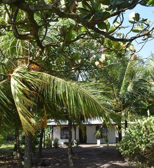 پانسیون Casa Turtle Bogue