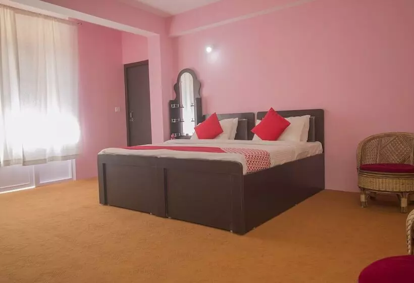 Oyo 24247 Hotel Everest Mansion