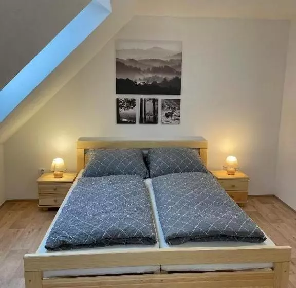 پانسیون Penzion Star Doksy