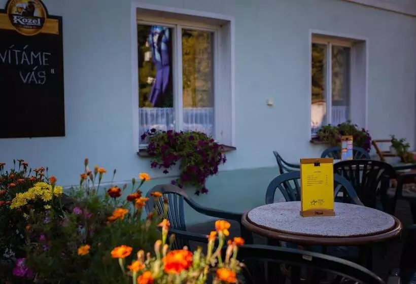 پانسیون Penzion Star Doksy