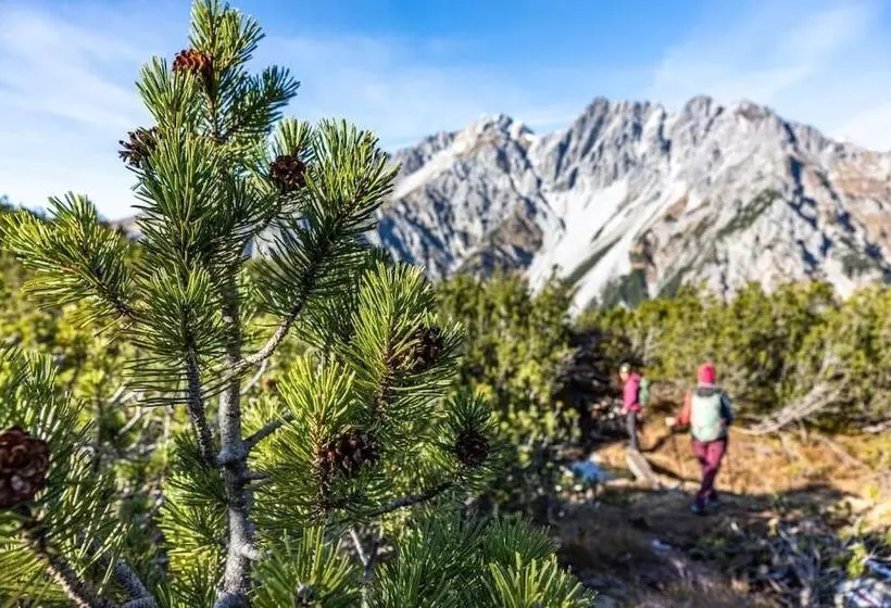 Majatalo Wald 12 Ferienhaus