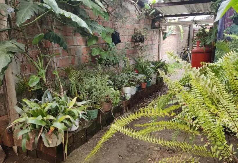ペンション Hostal La Parada Colon Putumayo