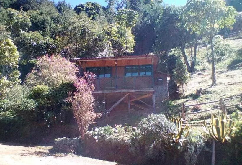 ホテル Las Cataratas Lodge