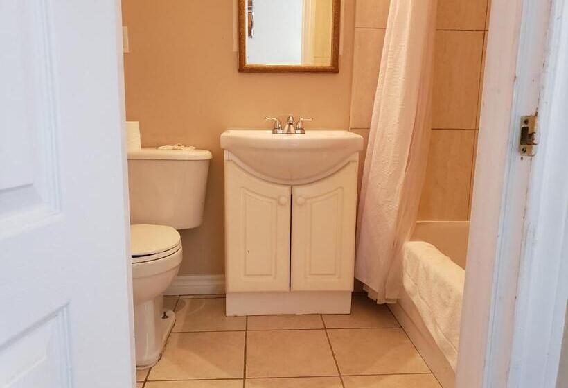 호텔 Regency Inn & Suites