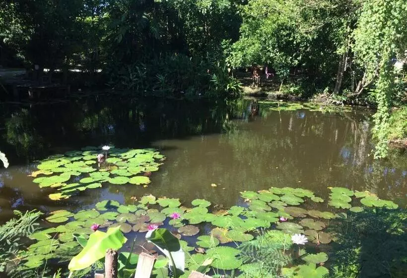 پانسیون Lotus Place Sukhothai