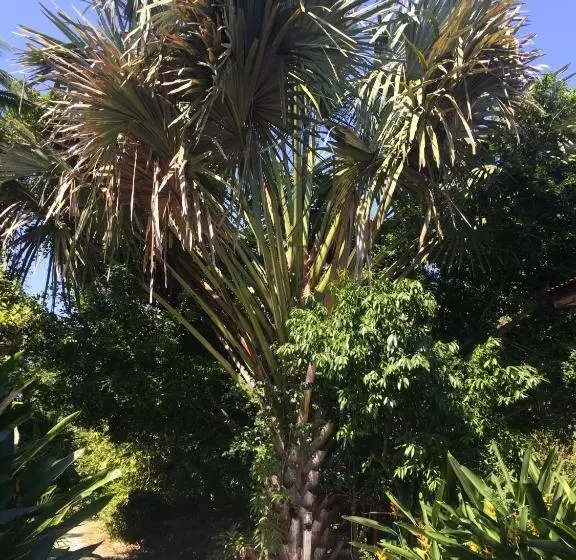 پانسیون Lotus Place Sukhothai