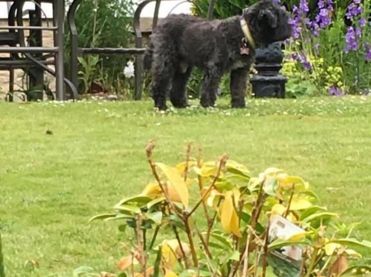 ホテル High Dalby House