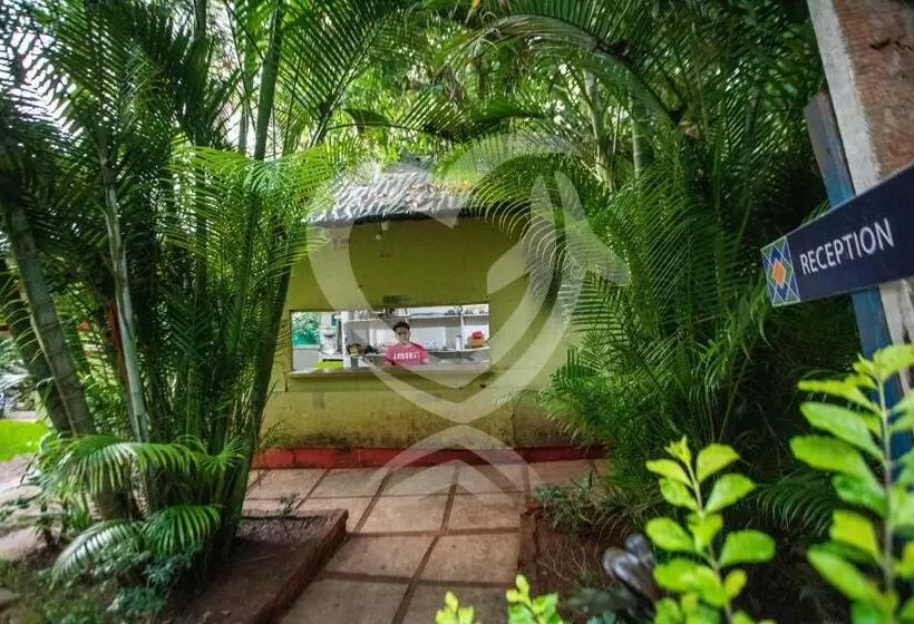 Hotelli Zulu Land Cottages Near Curlies Beach Shack And Shiva Valley Anjuna Beach