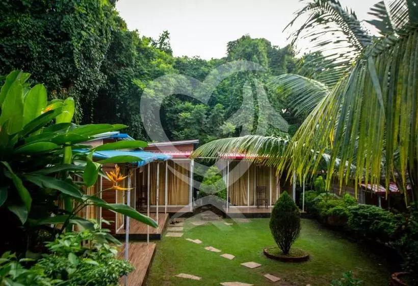 Hotelli Zulu Land Cottages Near Curlies Beach Shack And Shiva Valley Anjuna Beach