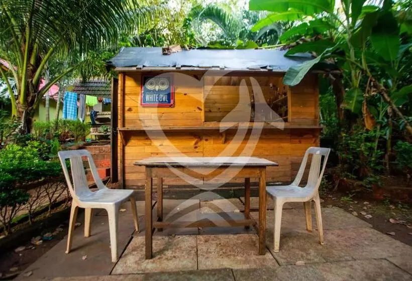 Hotelli Zulu Land Cottages Near Curlies Beach Shack And Shiva Valley Anjuna Beach