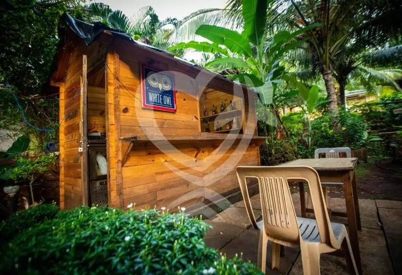 Hotelli Zulu Land Cottages Near Curlies Beach Shack And Shiva Valley Anjuna Beach