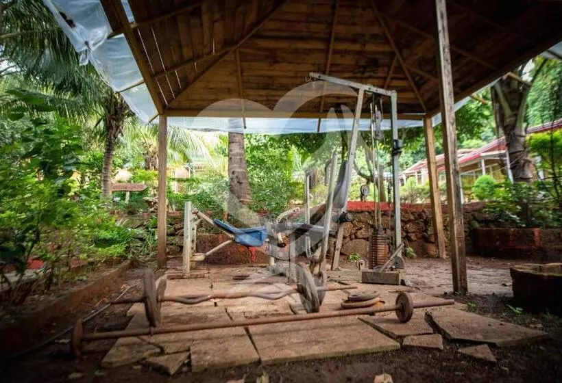 Hotelli Zulu Land Cottages Near Curlies Beach Shack And Shiva Valley Anjuna Beach