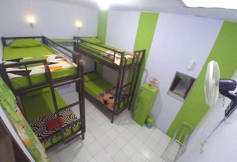 Bed and Breakfast Quinn Homestay