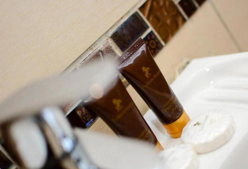 בית מלון כפרי Tudor House