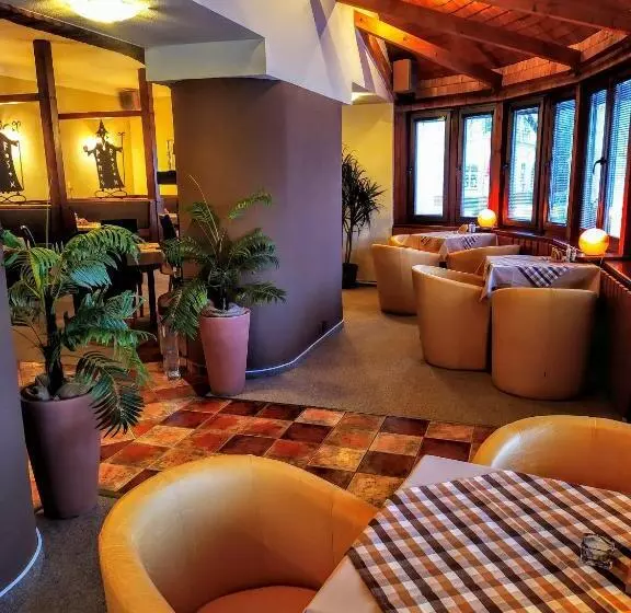 پانسیون Penzion Merlin