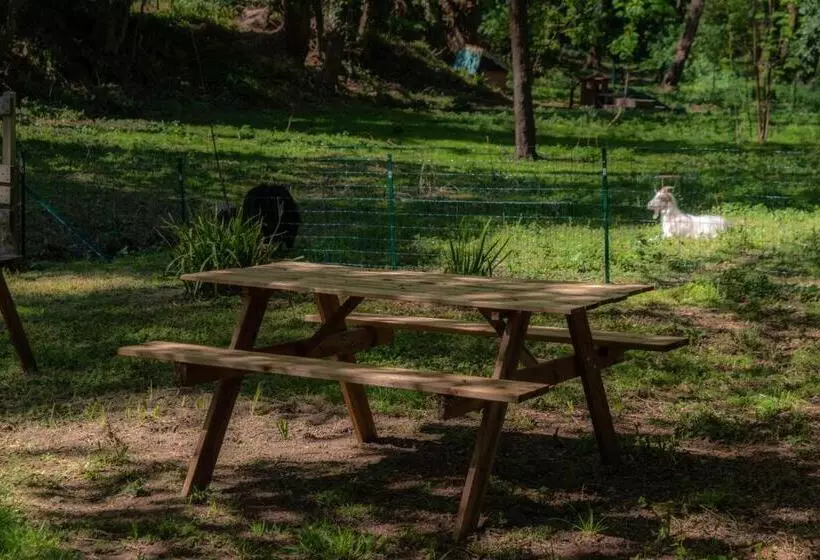 ホテル Hôtel Naéco Audierne