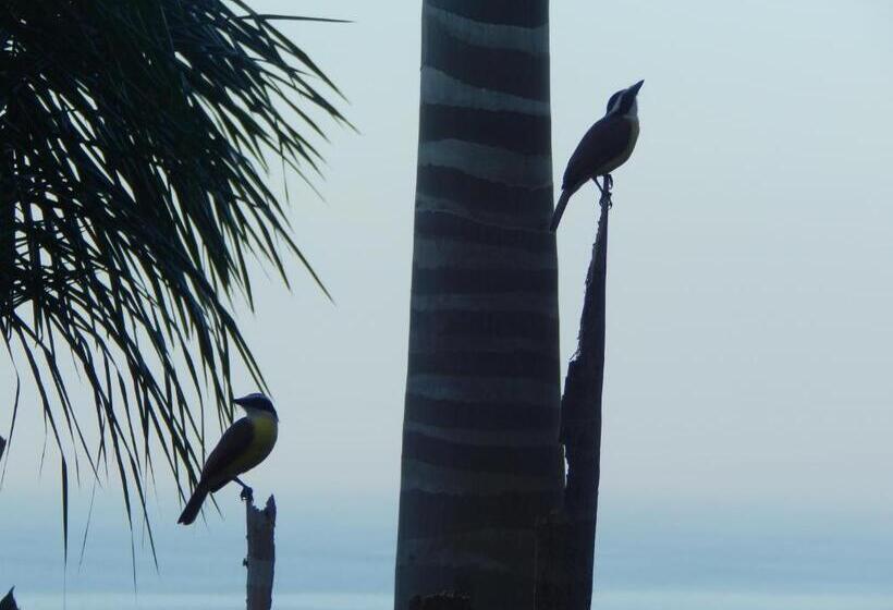 بنسيون Casa Federico