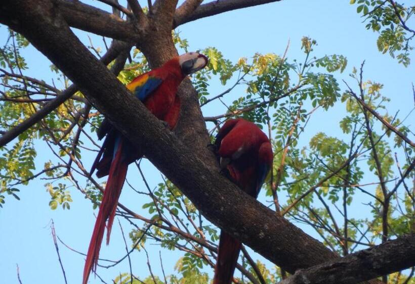 بنسيون Casa Federico