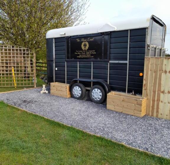 בית מלון כפרי The Golden Lion Inn