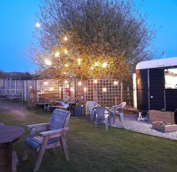 هتل The Golden Lion Inn