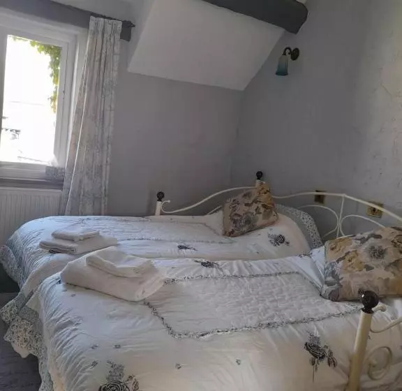 هتل The Golden Lion Inn