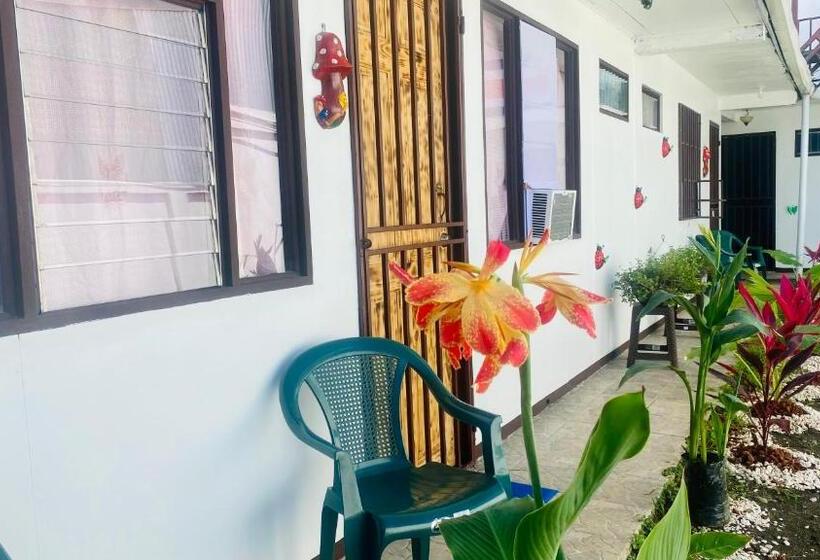 هاستل Nomada S Digital