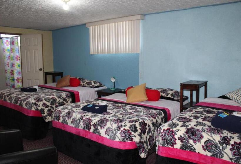 هتل Kasa Kamelot 2