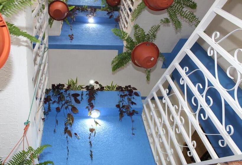 هتل Kasa Kamelot 2