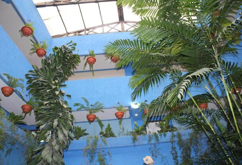 هتل Kasa Kamelot 2