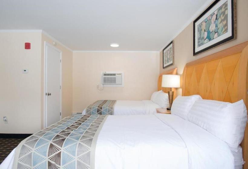 فندق Mount Royal Inn