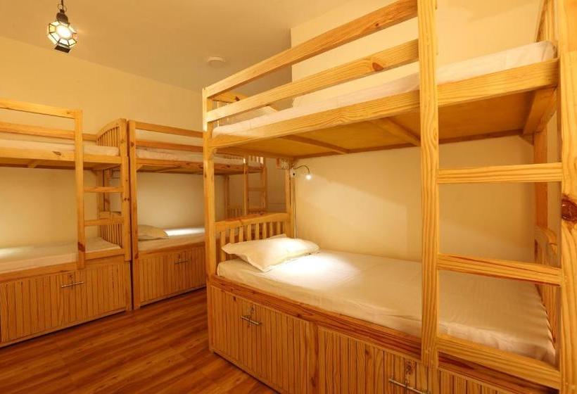 The Culture Nation Hostel Manali